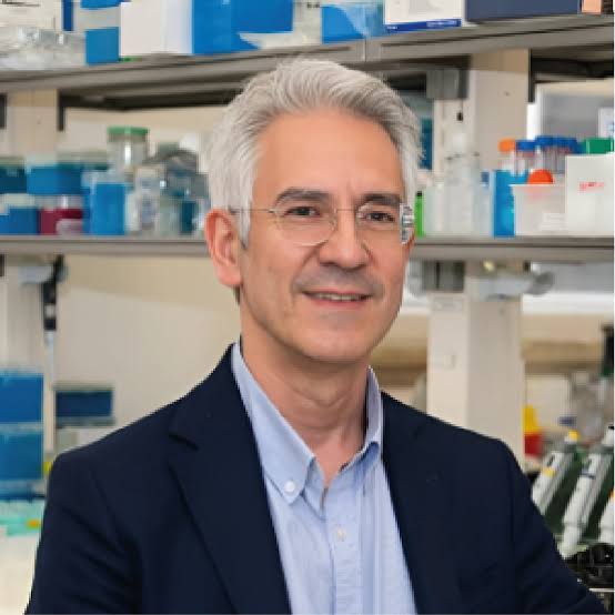 Luís Pereira de Almeida